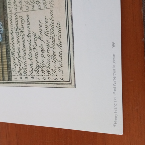 Flowers of the month prints, bundle of August February and October - Picture 7 of 13